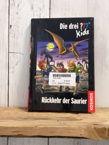 Drei??? Kids  Buch Rückkehr der Saurier 