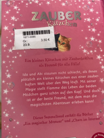   Buch Zauberkätzchen Magische Schulabenteuer 