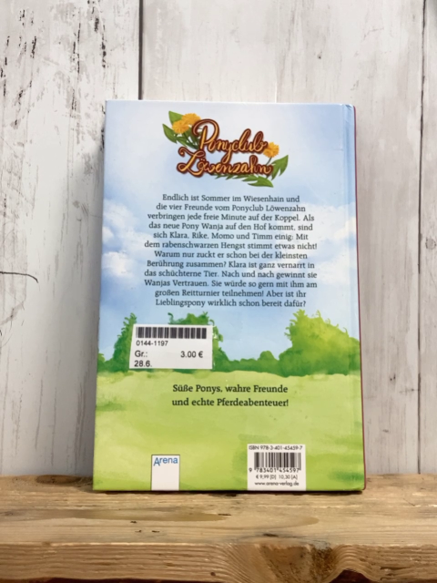   Buch Ponyclub Löwenzahn Wirbel um das Reiturnier 