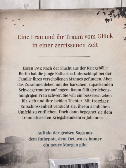   Taschenbuch Ein Traum vom Glück