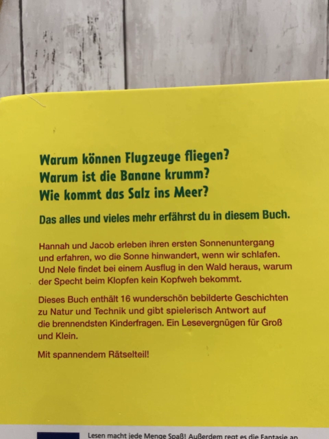  Buch Warum können Flugzeuge fliegen?