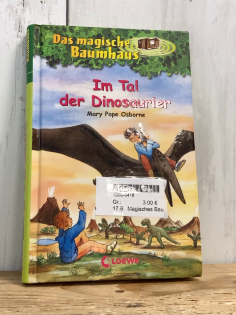 Magisches Baumhas  Buch Im Tal der Dinosaurier 