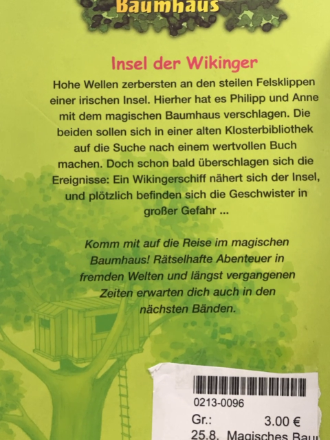 Magisches Baumhaus  Buch Insel der Wikinger 