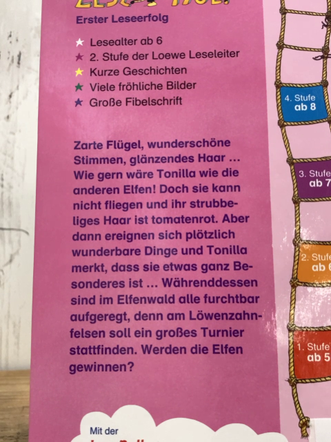 Lesetiger  Buch Elfengeschichten 