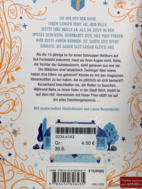   Buch Isi & Bella Ein Zwilling hext selten allein 
