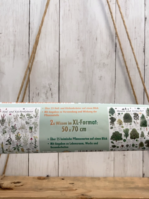 neu 2 Poster Kräuter / Bäume 