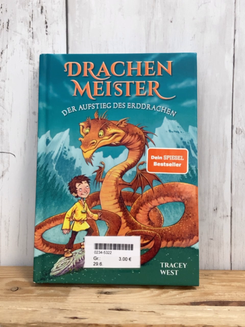   Buch Drachenmeister Der Aufstieg des Erddrachen 