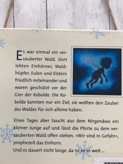  Buch Der kleine Eisprinz 