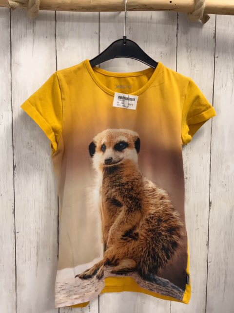 Jako-o T-Shirt Gr. 140  senf Erdmännchen