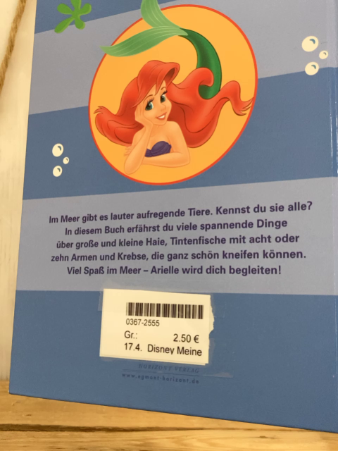 Disney Meine bunte Welt  Buch  Im Meer 
