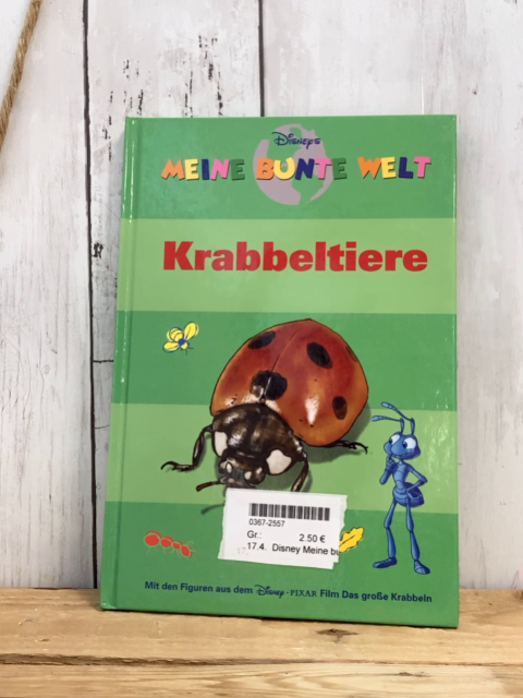 Disney Meine bunte Welt  Buch  Krabbeltiere 