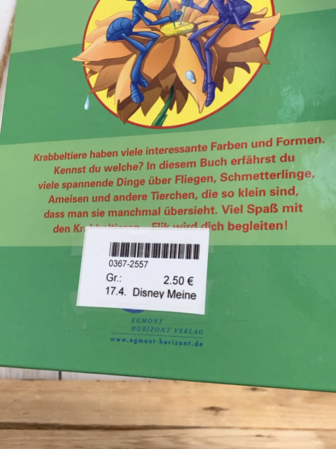 Disney Meine bunte Welt  Buch  Krabbeltiere 