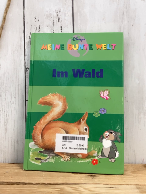 Disney Meine bunte Welt  Buch  Im Wald 