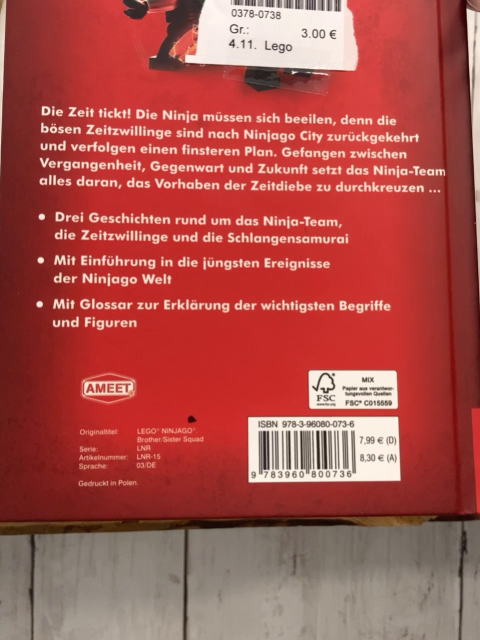 Lego Buch Ninjago Diebe der Zeit 