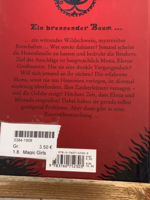 Magic Girls  Buch Späte Rache 