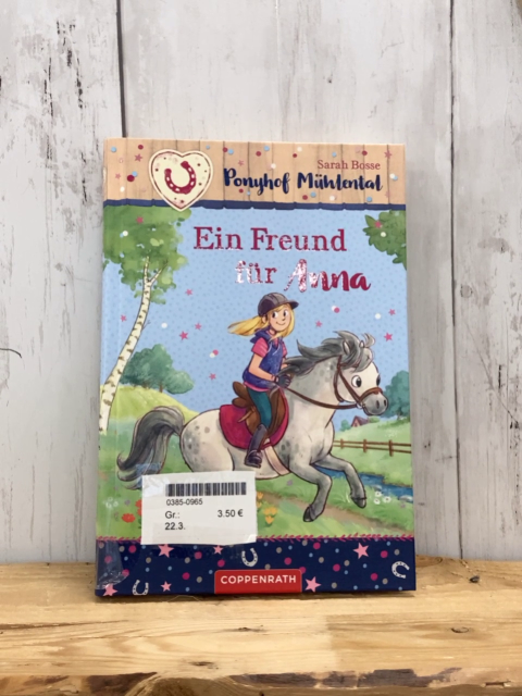  Buch Ein Freund für Anna