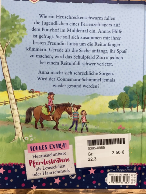  Buch Ein Freund für Anna