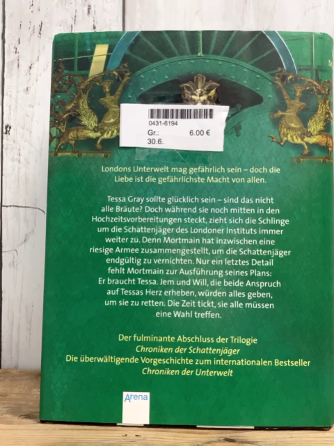   Buch Chroniken der Schattenjäger 