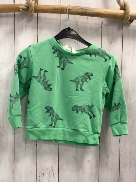 H&M Pullover Gr. 98  grün graue Dinos