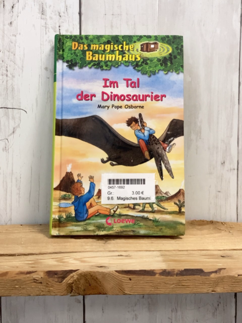 Magisches Baumhaus  Buch Im Tal der Dinosaurier 
