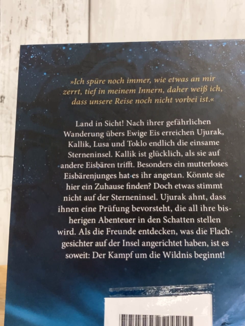 Seekers  Buch Sternengeister 