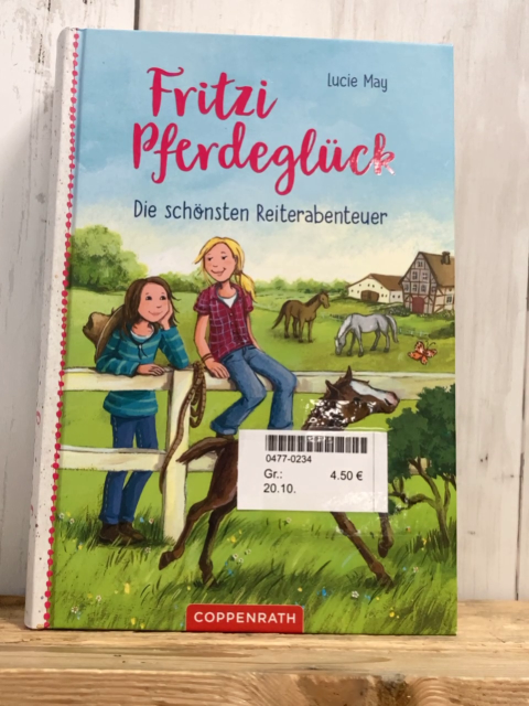  Buch Fritzi Pferdeglück Die schönsten Reiterabenteuer 