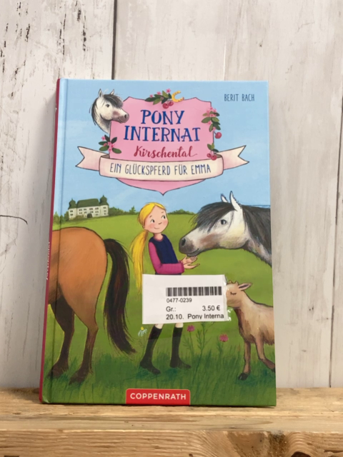 Pony Internat  Buch Ein Glückspferd für Emma 