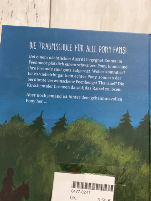 Pony Internat  Buch Rätsel um das schwarze Pony 