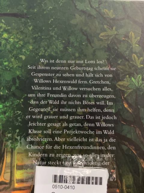  Buch Ein Mädchen namens Willow Flügelrauschen 