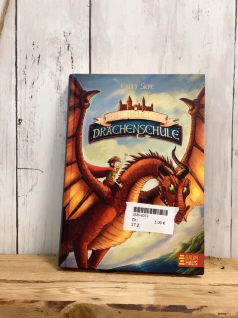   Buch Die geheime Drachenschule 