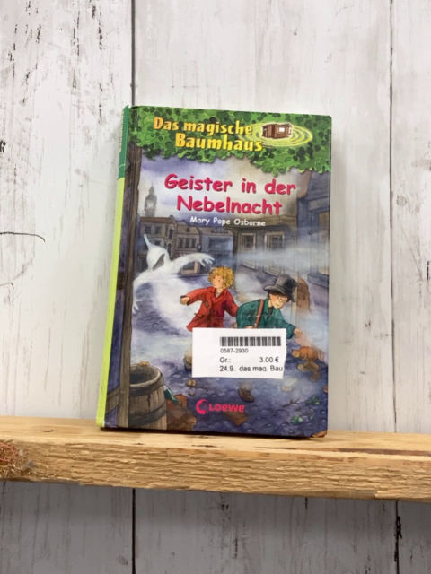 das mag. Baumhaus Buch Geister in der Nebelnacht
