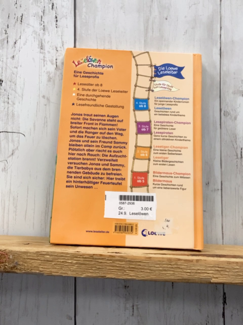 Leselöwen Leselernbuch Feuer in der Savanne
