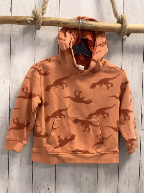 H&M  Pullover  Gr. 98  orange Kapuze rost Dinos 