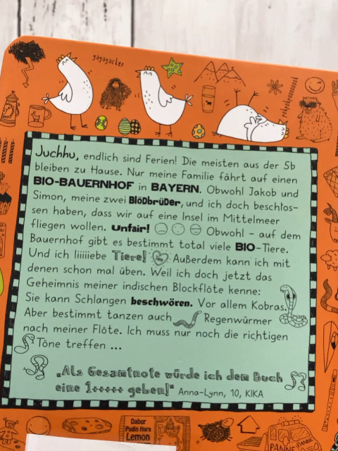 Lotta-Leben  Buch Hier steckt der Wurm drin