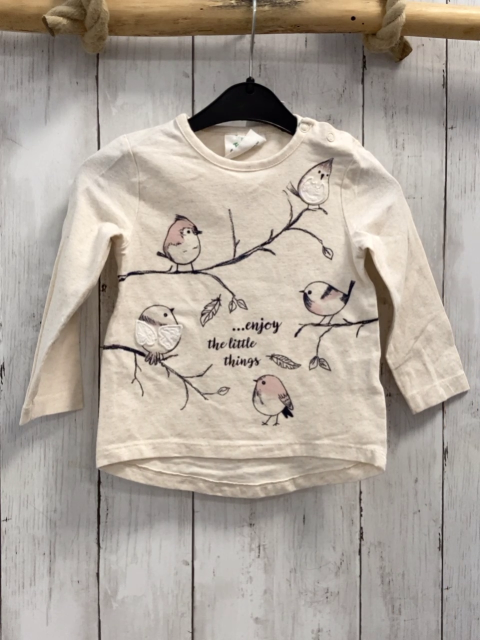  Langarmshirt Gr. 80  beige Ast Vögel Schrift