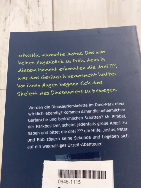 Drei??? Kids  Taschenbuch Abenteuer im Dinopark