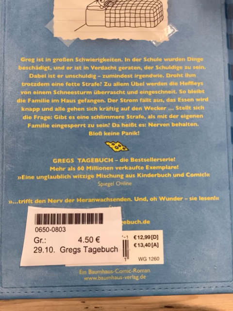 Gregs Tagebuch  Buch Bd 6 Keine Panik 