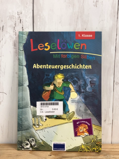 Leselöwen  Buch Abenteuergeschichten 