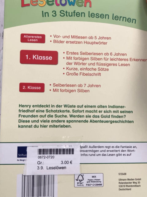 Leselöwen  Buch Abenteuergeschichten 