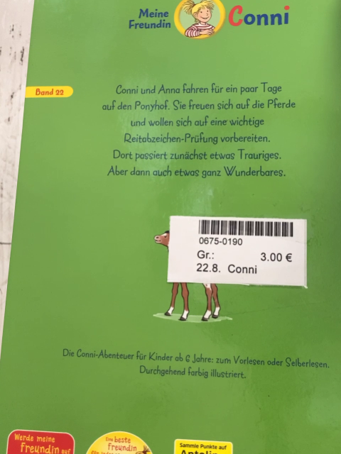 Buch Conni und das neue Fohlen