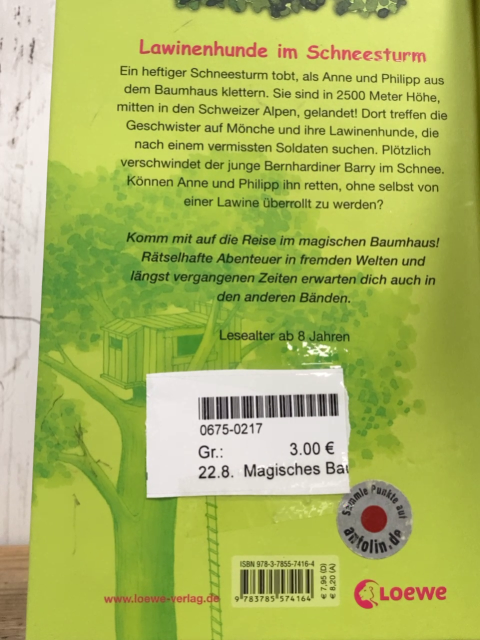 Magisches Baumhaus  Buch Lawinenhunde im Schneesturm 