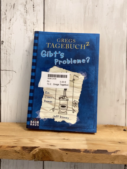 Gregs Tagebuch  Taschenbuch 2: Gibt´s Probleme?
