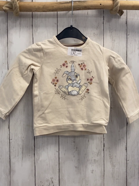 Disney  Pullover  Gr. 92  beige Klopfer Blumen 