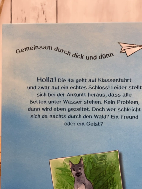  Buch Die Chaos-Klasse Wirbel im Wald  
