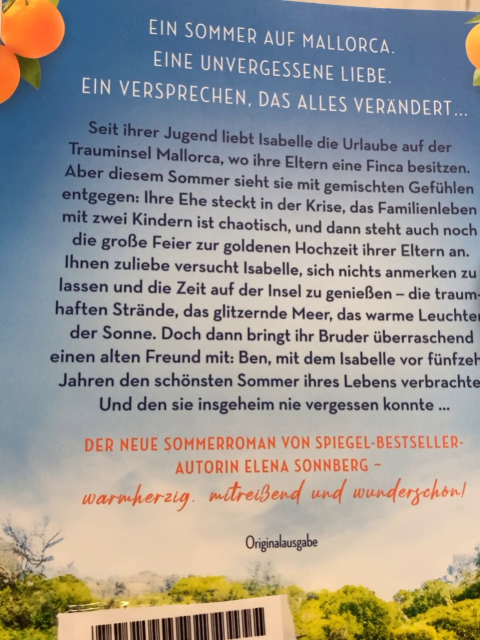  Taschenbuch Das Versprechen eines Sommertags 