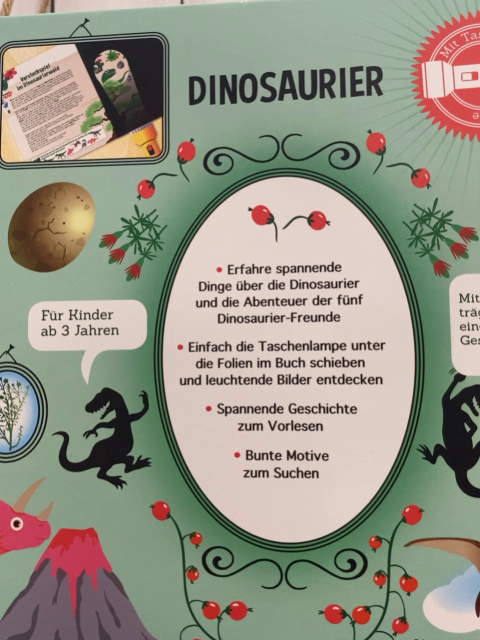  Pappbuch Mein Taschenlampen-Entdeckerbuch Dinosaurier