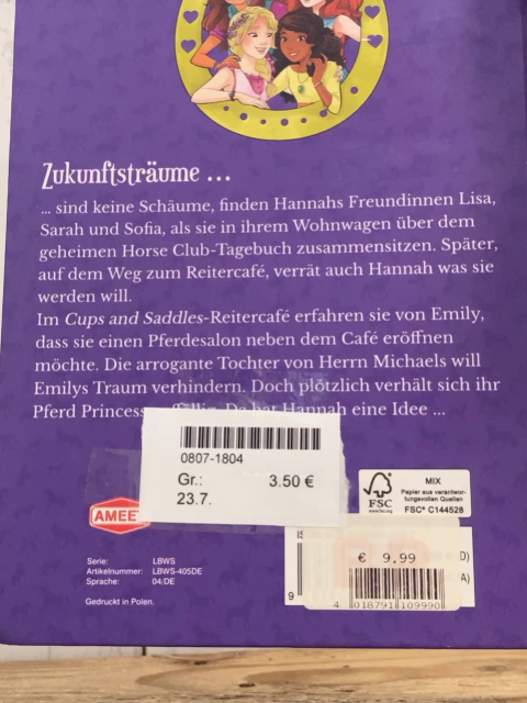  Buch Horse Club Rätsel umd Princess 