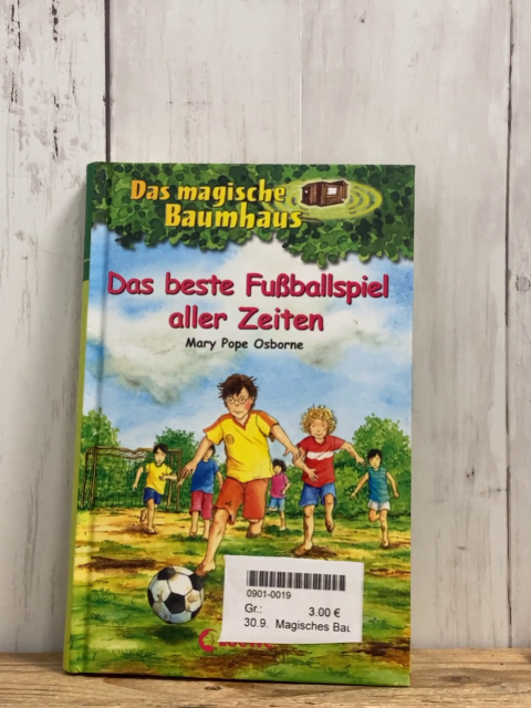 Magisches Baumhaus  Buch Das beste Fußballspiel aller Zeiten 