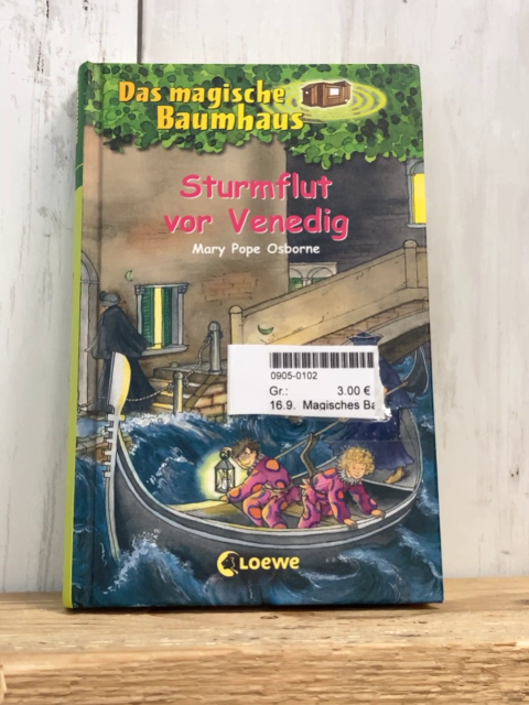 Magisches Baumhaus  Buch Sturmflug vor Venedig 