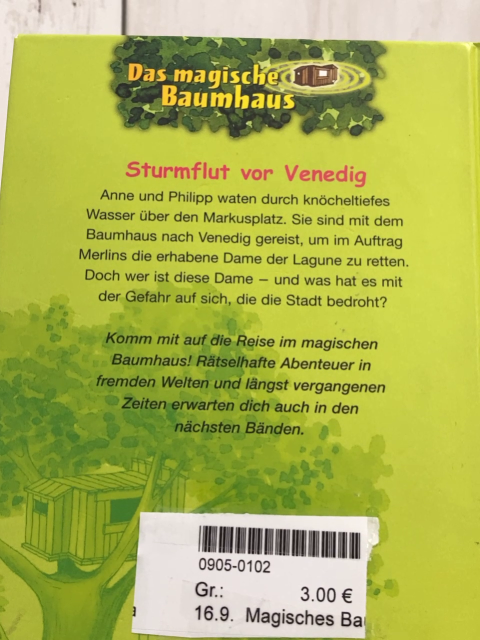 Magisches Baumhaus  Buch Sturmflug vor Venedig 